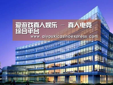 案例展示五