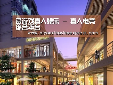 案例展示一